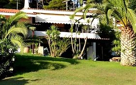 Beachfront Villa 100M From Sea For Up To 10 Guests