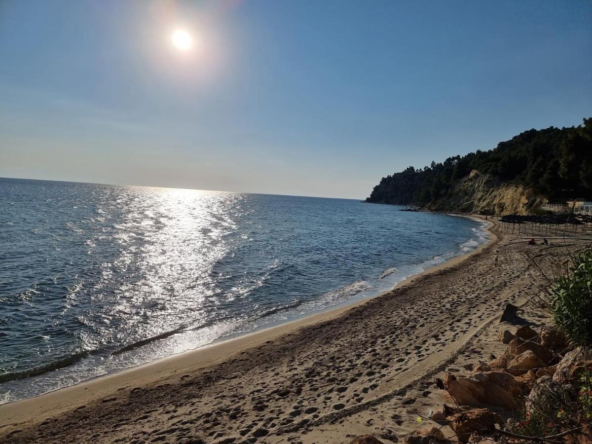 Beachfront Villa 100M From Sea For Up To 10 Guests Σίβηρη Εξωτερικό φωτογραφία